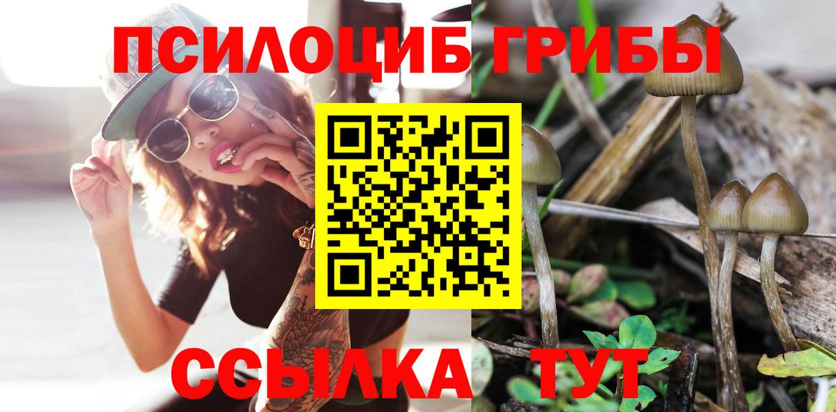 Галлюциногенные грибы GOLDEN TEACHER  Псилоцибиновые грибы Magic Shrooms  Камышин  Вход с VPN 