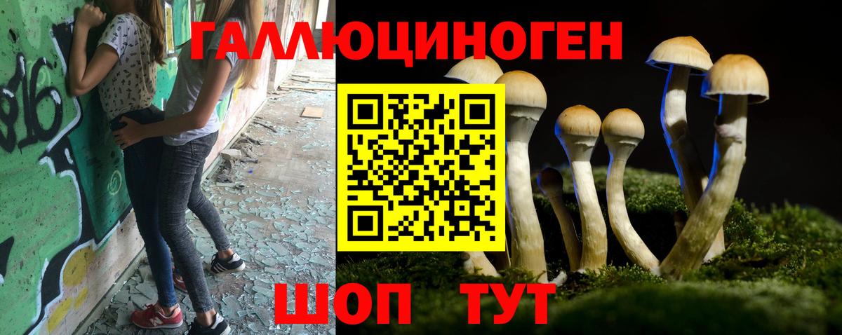 Псилоцибиновые грибы GOLDEN TEACHER Камышин